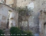 Palacio de Los Uribes. Restos de la capilla del palacio