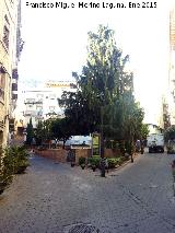 Plaza de San Agustn. 