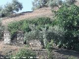 Cortijo de Las Emilias. 