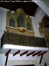 Iglesia de San Andrs. rgano