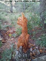 Sierra de Jan. Duende