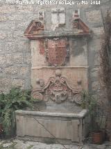 Fuente de los Salazares. 