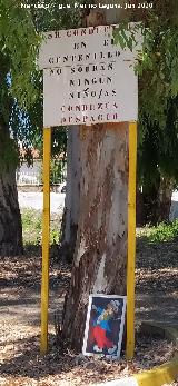 Curiosidades. Cartel a la entrada de El Centenillo - Ba�os de la Encina