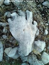 Curiosidades. Piedra con la forma de una mano. El Contadero - Los Villares