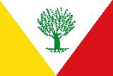 Montejcar. Bandera