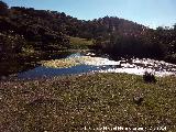 Estanque del Vadillo. 