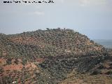 Cabeza Gorda. Ladera norte