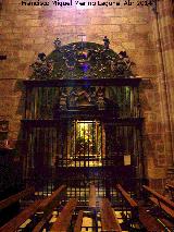 Iglesia de Santa Mara. Capilla de San Ildefonso. Reja