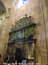 Iglesia de Santa Mara. Capilla de San Ildefonso. Reja