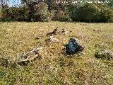 Necrpolis dolmnica del Guadaln. Dolmen?