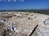 Necrpolis visigoda del Cerro de los Vientos. 