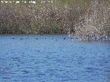 Laguna La Charca. 