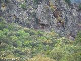 Sierra de Dormideros. Paredes rocosas