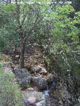 Arroyo de Pea Escrita. 