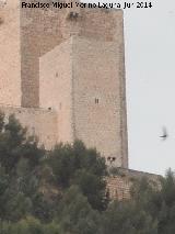 Castillo Nuevo de Santa Catalina. Torre de las Damas. 