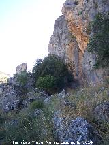 Cerro Frontn. Parte alta