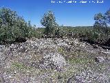 Yacimiento ibero de Cabeza Higuerosa. Meseta