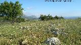 Poblado prehistrico del Cerro Veleta. Meseta