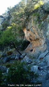 Pinturas rupestres del Abrigo del Almendro. Abrigo