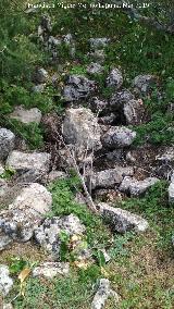 Oppidum de Giribaile. Gran Muralla. Detalle del habitculo