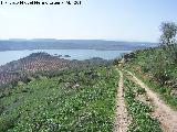 Oppidum de Giribaile. Puerta Sur. Camino carretero de la Puerta Sur