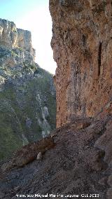 Pinturas rupestres del Abrigo de los Caones IV. 