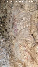 Pinturas rupestres del Abrigo de los Caones IV. Pintura rupestre