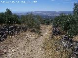 Camino de las Atalayuelas. 