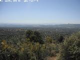 Camino de las Atalayuelas. Vistas