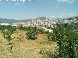 Huertas de Castillo de Locubn. 