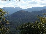 Cerro del Acebuchal. 