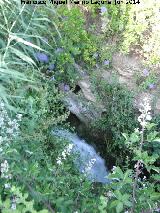 Cascada del Arroyo Los Morales II. 