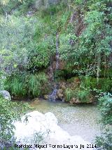 Cascada de la Cerrada de Elas. 