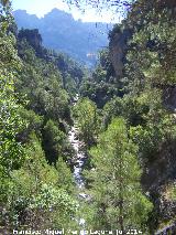 Cerrada del Puente de Piedra. 