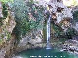 Cascada de la Laguna. 