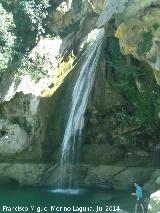 Cascada de la Laguna. 