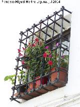 Casa de la Calle Rincn n 2. Reja de rosetas