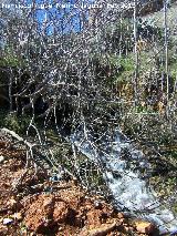 Fuente de la Pea. Nacimiento ocasional