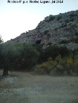 Cueva del Frontn. 