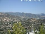 Mirador de la Ermita. Vistas