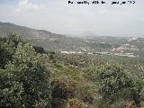 Jamilena. Desde el Cerro Miguelico