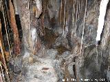 Cueva de la Canalizacin. 