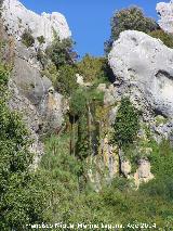 Cascada del Tejo. 