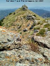 Caballo Torraso. Cumbre