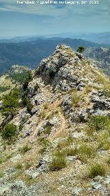 Caballo Torraso. Pico norte