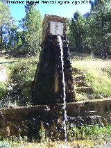 Fuente del Raso de la Honguera. 