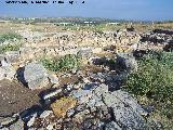 Oppidum Puente Tablas. Palacio. Sala del Trono