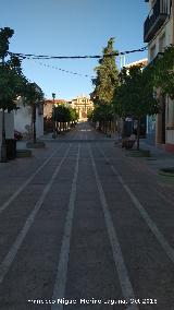 Calle Jardines. 