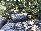 Cantera de Piedras de Molino de la Camua. 