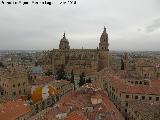 Salamanca. Desde la Clereca